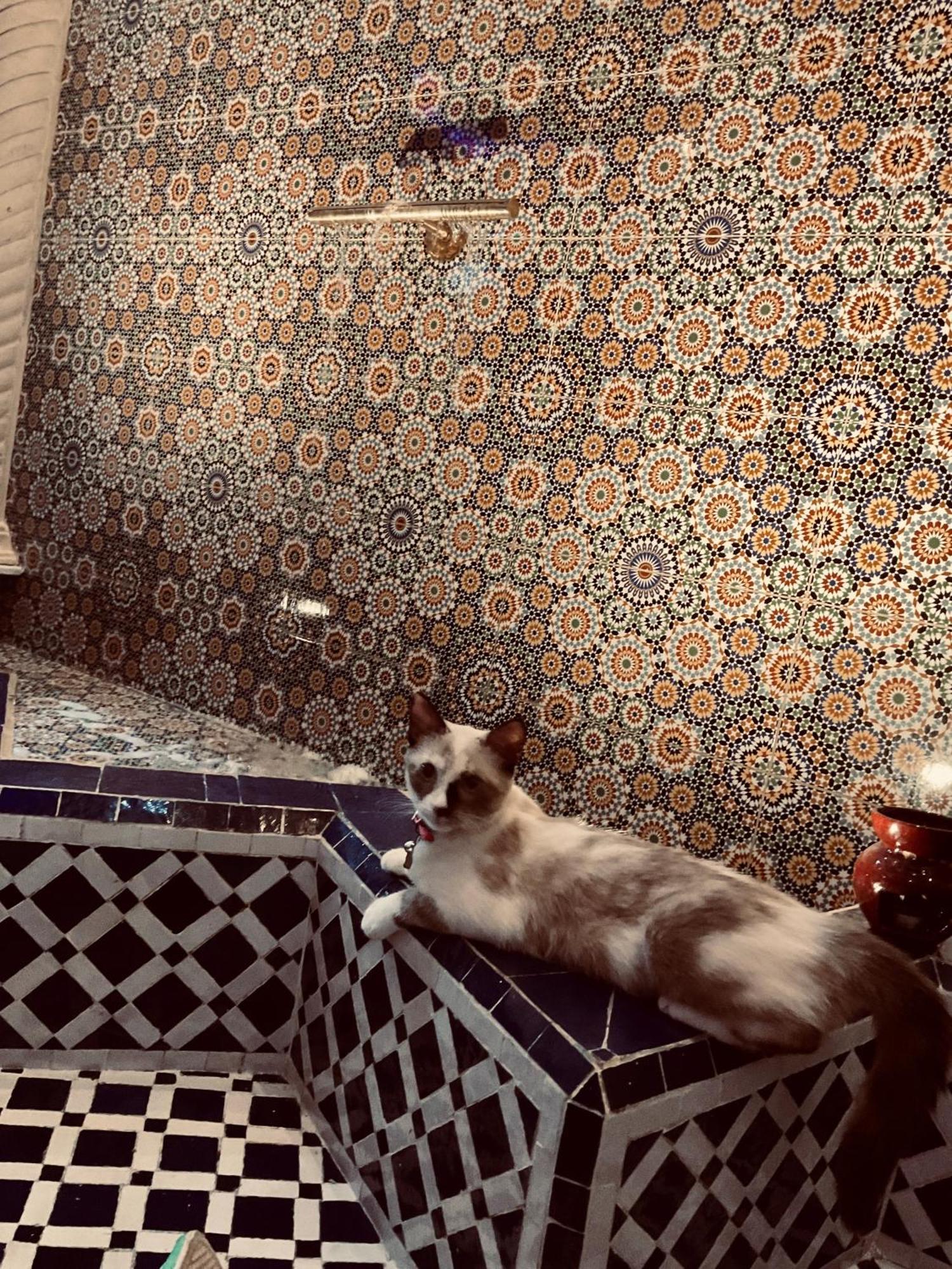 Riad Lalla Merieme Marrakesh Exteriör bild